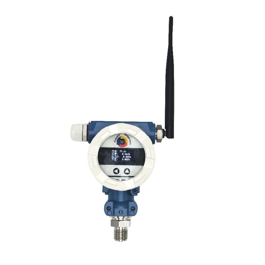 WL100 Wireless Temperature Sensor for Internet of Things